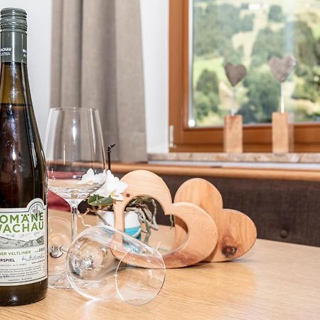 Apartment Hintermaisalm Saalbach-Hinterglemm Kültér fotó